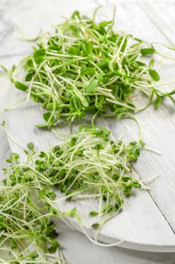 Ahşap tahta, arka planda farklı taze mikro yeşil