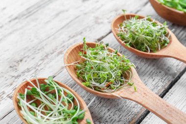 Açık ahşap arka planda farklı taze mikro yeşile sahip kaşıklar