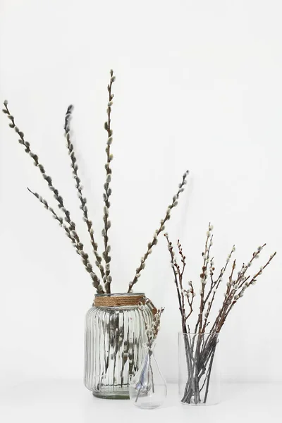 Vases Willow Branches Light Background — Stock Photo, Image