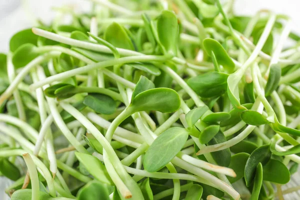 Fresh Micro Green Sprouts Closeup — Stock Photo, Image