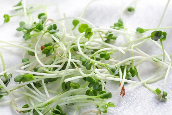 Fresh Micro Green Light Fabric Closeup — Stock Photo, Image