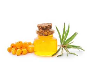 Beyaz arka planda bir şişe deniz dikenli dikenli yağ.