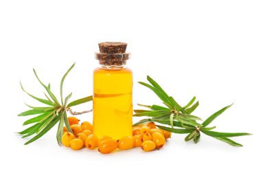 Beyaz arka planda bir şişe deniz dikenli dikenli yağ.