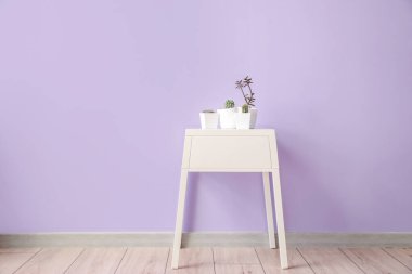 Renk duvarının yanındaki tencerede farklı bitkiler var.