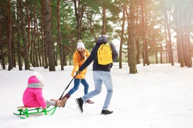 Mutlu aile kış günü parkta kızakla kayıyor.