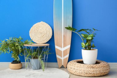 Sörf tahtası olan modern bir oda.