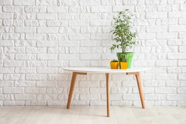 Diferentes Plantas Interior Macetas Mesa Cerca Pared Ladrillo Blanco — Foto de Stock