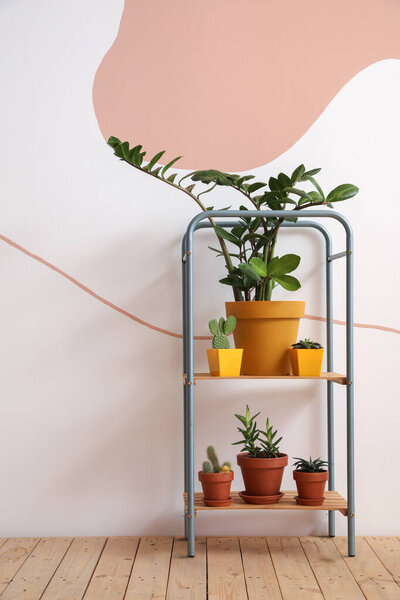 Rack with different houseplants in pots near light wall