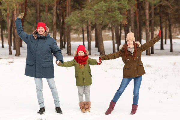 冬日快乐的一家人在公园里 — 图库照片