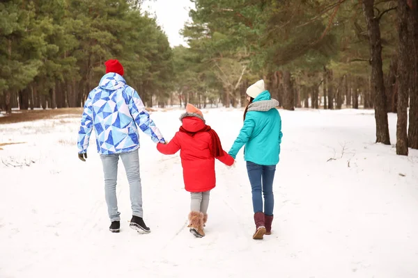 Família Feliz Andando Parque Dia Inverno — Fotografia de Stock