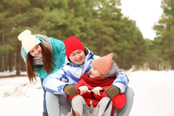 Família Feliz Trenó Parque Dia Inverno — Fotografia de Stock