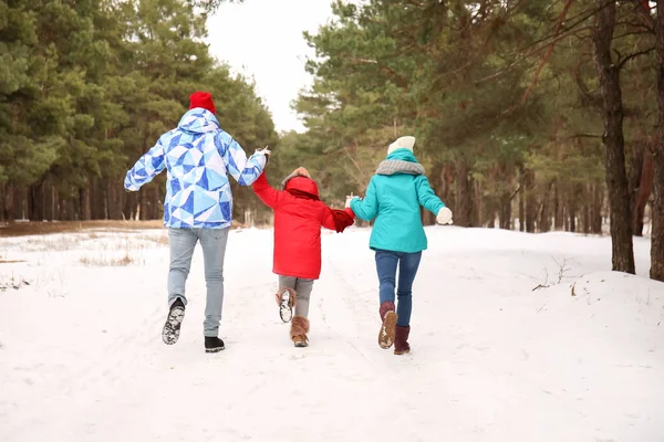 冬天快乐的一家人在公园里散步 — 图库照片