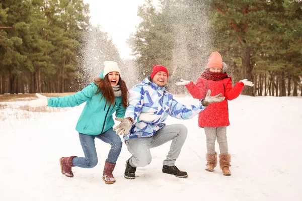 Familia Feliz Jugando Bolas Nieve Parque Día Invierno —  Fotos de Stock