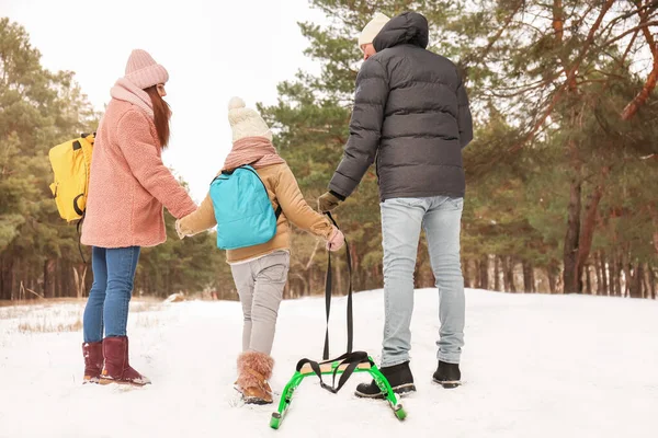 Happy Family Sledging Park Winter Day — Stock Photo, Image