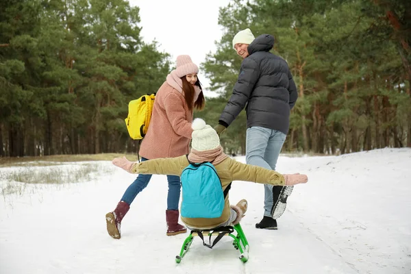 Happy Family Sledging Park Winter Day — Stock Photo, Image