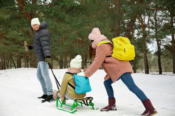 Happy Family Sledging Park Winter Day — Stock Photo, Image