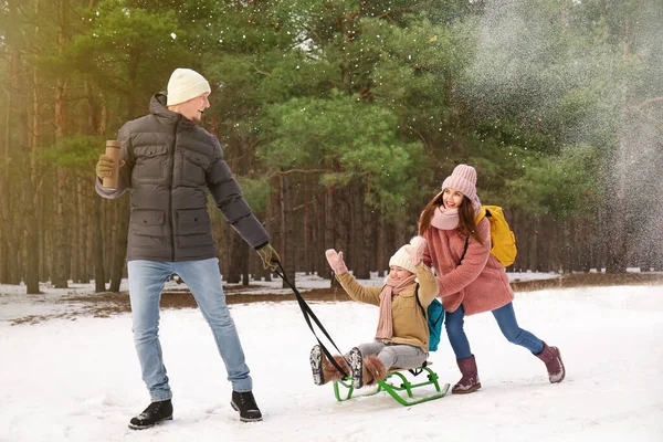 Happy Family Sledging Park Winter Day — Stock Photo, Image