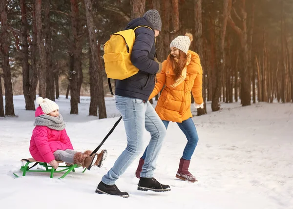 Happy Family Sledging Park Winter Day — Stock Photo, Image