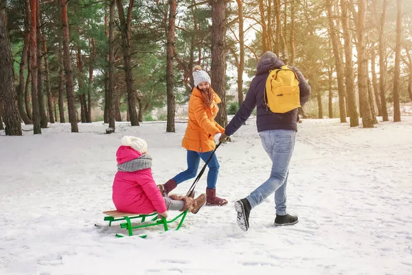 Família Feliz Trenó Parque Dia Inverno — Fotografia de Stock