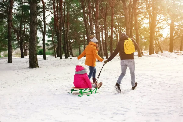 Família Feliz Trenó Parque Dia Inverno — Fotografia de Stock
