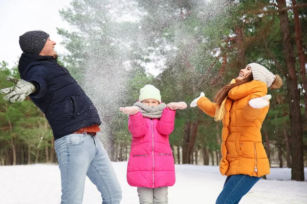 Família Feliz Brincando Com Neve Parque Dia Inverno — Fotografia de Stock