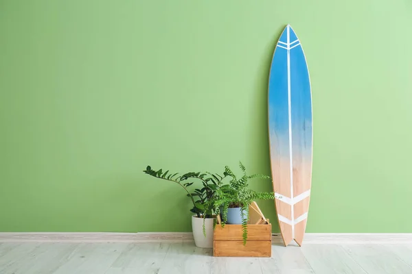 Tabla Surf Plantas Interior Cerca Pared Color — Foto de Stock