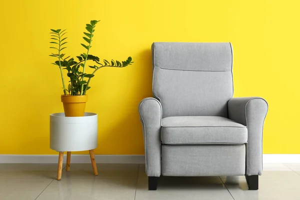Cozy Armchair Houseplant Table Color Wall — Stock Photo, Image