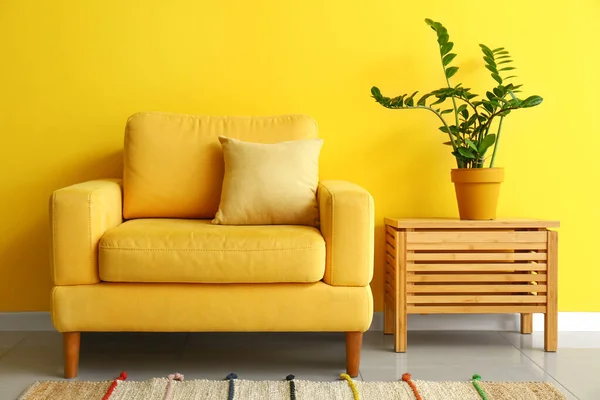Przytulny Fotel Houseplant Stole Pobliżu Ściany Kolor — Zdjęcie stockowe