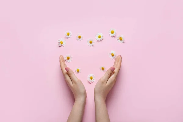 Female Hands Heart Made Beautiful Chamomile Flowers Color Background — Stock Photo, Image