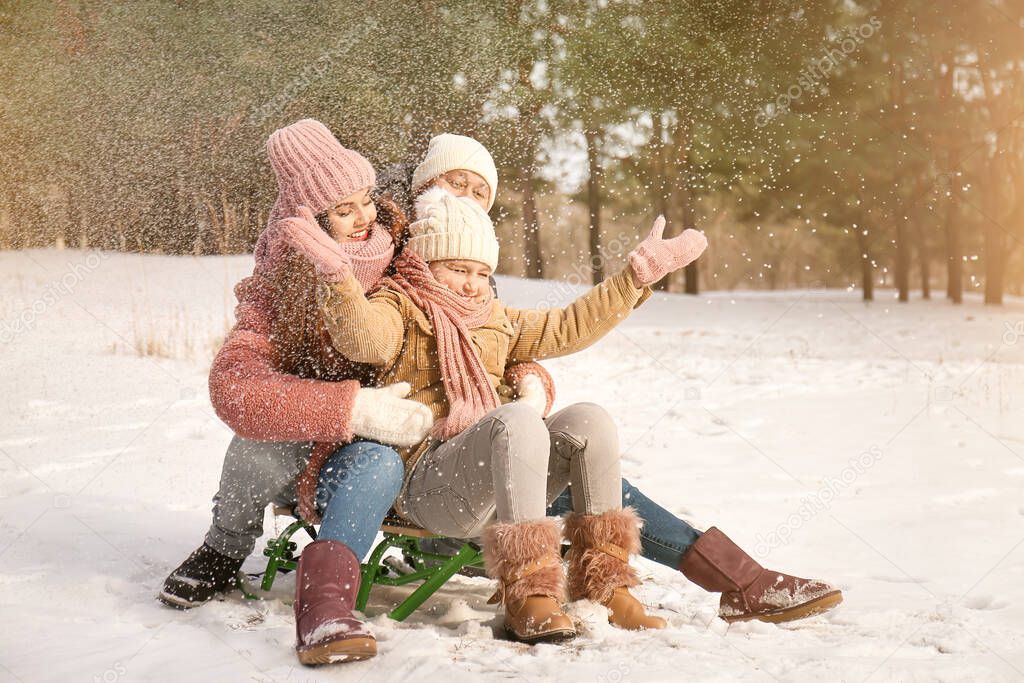 Happy family sledging in park on winter day