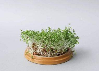 Işık arka planında taze mikro yeşili olan kase