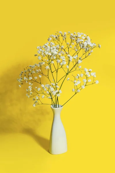 Vase Beautiful Gypsophila Flowers Color Background — Stock Photo, Image