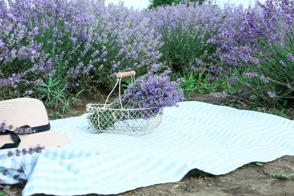 Basket Lavender Flowers Hat Plaid Field — Stock Photo, Image