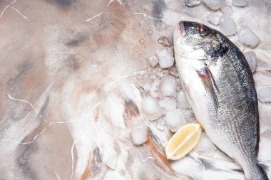 Hafif arka planda çiğ dorado balığı