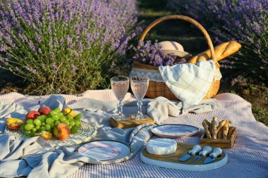 Lavanta tarlasında romantik piknik için lezzetli yiyecek ve içeceklerle dolu bir sepet.
