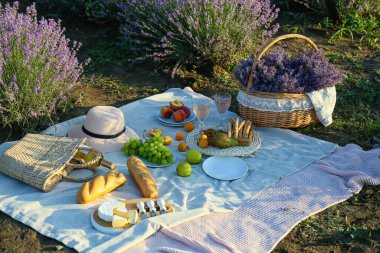 Lavanta tarlasında romantik piknik için lezzetli yiyecek ve içeceklerle dolu bir sepet.