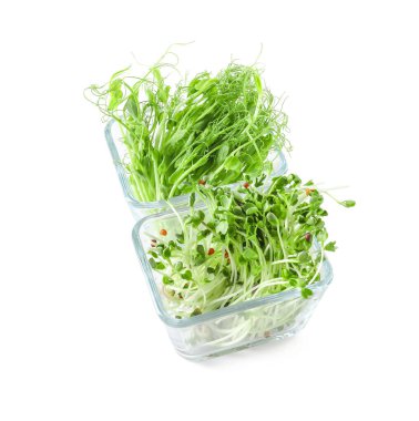 Beyaz arkaplanda taze mikro yeşil