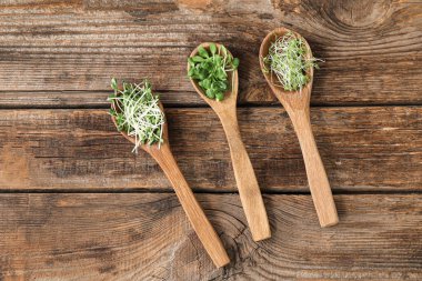 Tahta arka planda farklı taze mikro yeşil kaşıklar.