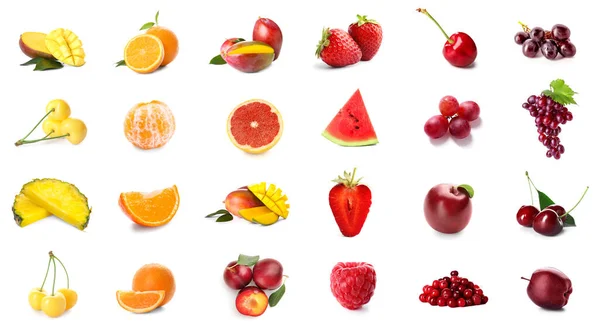 白い背景に明るい果実と果実のセット — ストック写真