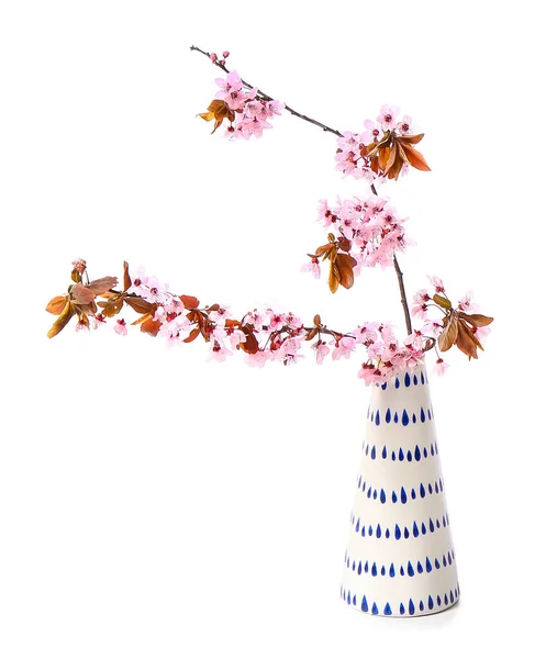 Vase Blooming Branches White Background — Stock Photo, Image