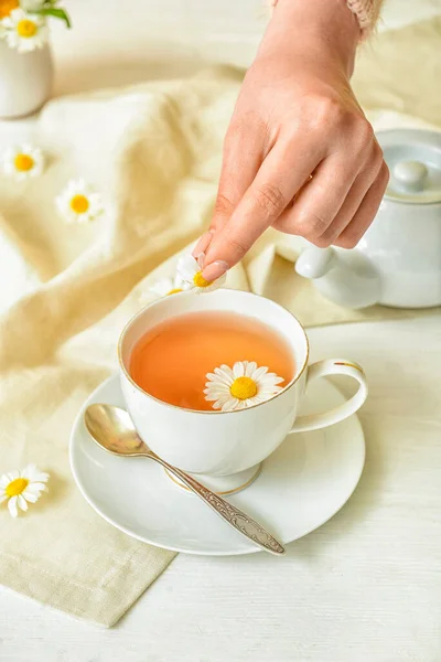 Frau Legt Kamillenblüte Tasse Mit Tee Auf Hellem Hintergrund — Stockfoto