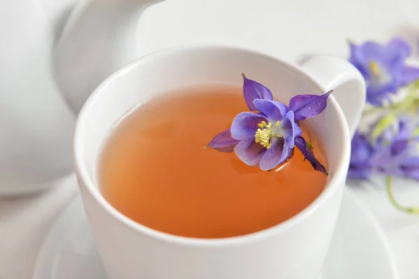 Cup Floral Tea Flower Closeup — Stok fotoğraf