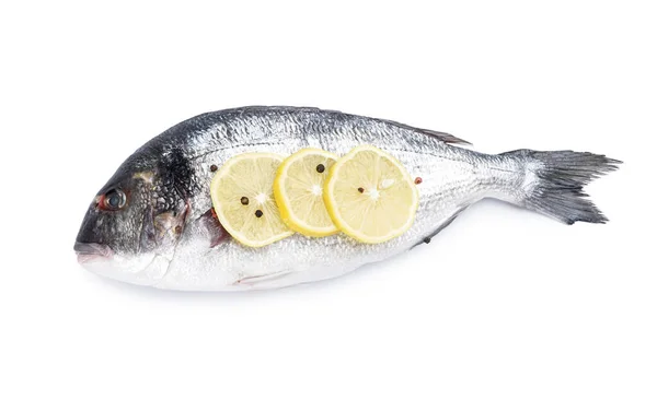 Сира Риба Дорадо Білому Тлі — стокове фото