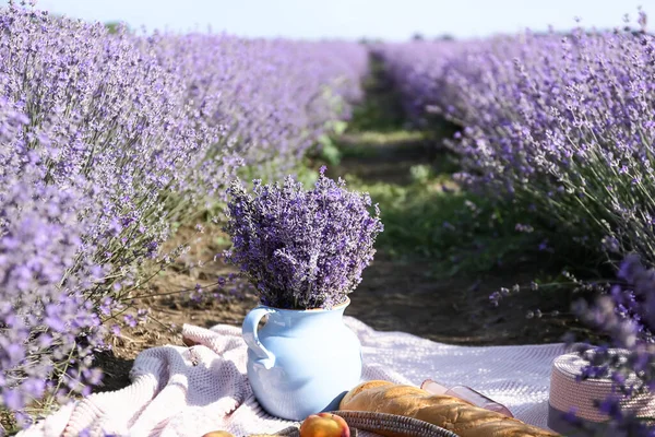 Jug Lavender Flowers Tasty Food Romantic Picnic Field — Stock Photo, Image