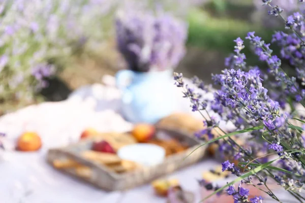 Tasty Food Romantic Picnic Field Focus Lavender Flowers — Stock Photo, Image