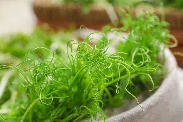 Verse Micro Groene Spruiten Tafel Close — Stockfoto