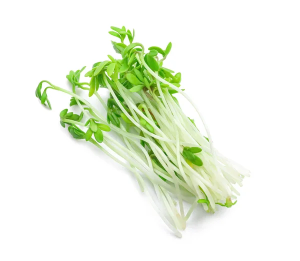 Fersk Mikrogrønn Hvit Bakgrunn – stockfoto