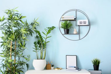 Renk duvarının yanında kitaplar, çerçeve ve bitkiler olan masa