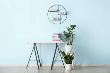 Kitaplık ve ev bitkileriyle modern odanın şık bir tasarımı.