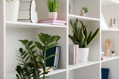 Kitaplı raflar, ev bitkileri ve dekorlu, yakın plan.